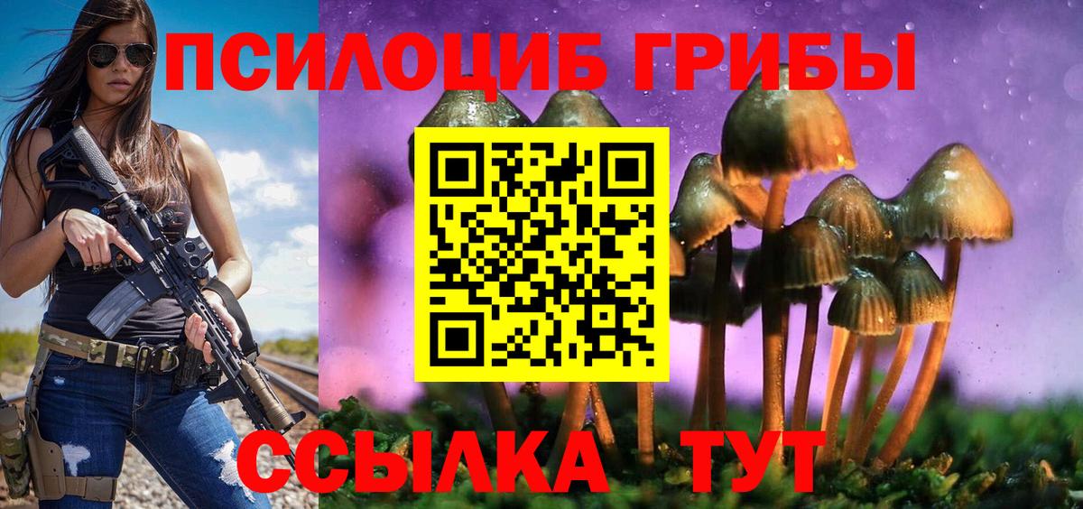 Галлюциногенные грибы ЛСД Апатиты