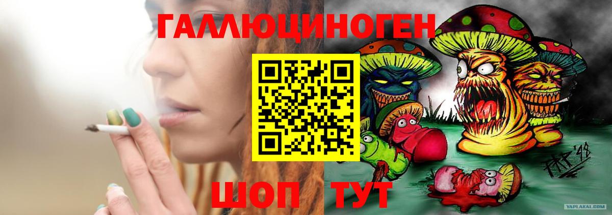 Псилоцибиновые грибы прущие грибы Апатиты
